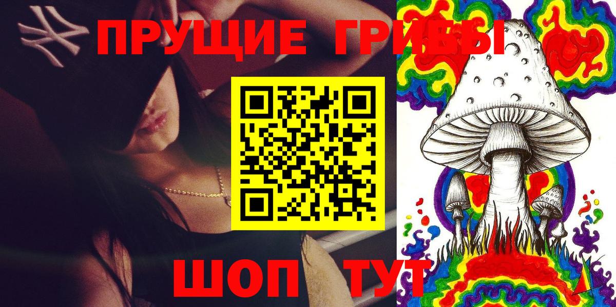 Псилоцибиновые грибы прущие грибы Бердск