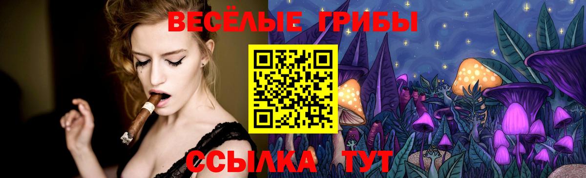 Галлюциногенные грибы GOLDEN TEACHER  Вход с VPN  Бердск 