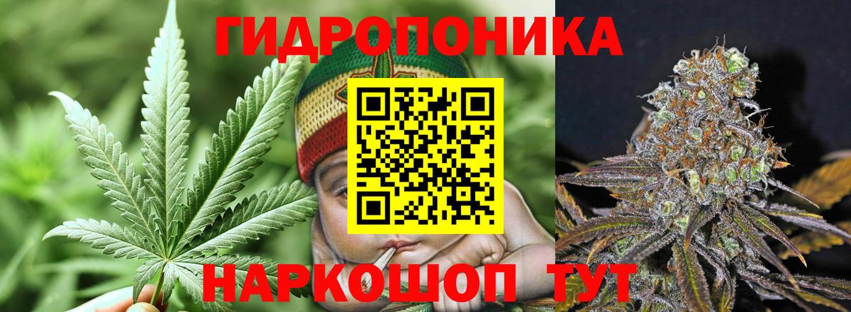 Бердск  Канабис LSD WEED  Вход с VPN  Шишки марихуана гибрид  Шишки марихуана сатива 