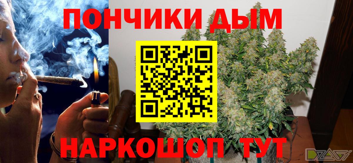 Конопля Amnesia Бердск